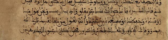 أسطر من حديث بياض ورياض